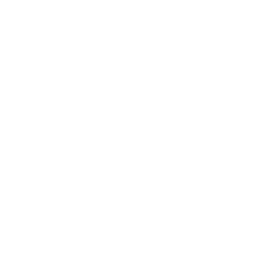 Digital Twin